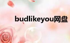 budlikeyou网盘（baudi百度网盘）