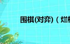 围棋(对弈)（烂柯围棋在线对弈）