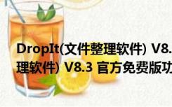 DropIt(文件整理软件) V8.3 官方免费版（DropIt(文件整理软件) V8.3 官方免费版功能简介）