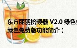 东方丽羽挤频器 V2.0 绿色免费版（东方丽羽挤频器 V2.0 绿色免费版功能简介）