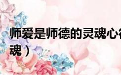 师爱是师德的灵魂心得体会（师爱是师德的灵魂）