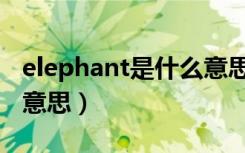 elephant是什么意思英语（elephant是什么意思）