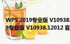 WPS 2019专业版 V10938.12012 官方最新版（WPS 2019专业版 V10938.12012 官方最新版功能简介）