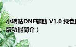 小嘀咕DNF辅助 V1.0 绿色版（小嘀咕DNF辅助 V1.0 绿色版功能简介）