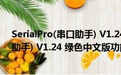 SerialPro(串口助手) V1.24 绿色中文版（SerialPro(串口助手) V1.24 绿色中文版功能简介）