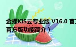 金蝶KIS云专业版 V16.0 官方版（金蝶KIS云专业版 V16.0 官方版功能简介）