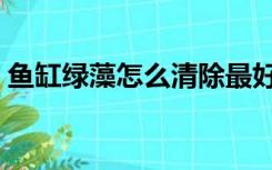 鱼缸绿藻怎么清除最好（鱼缸绿藻怎么清除）