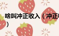 啥叫冲正收入（冲正收入是成功了还是没成功）