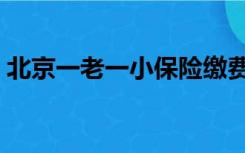 北京一老一小保险缴费（一老一小保险缴费）