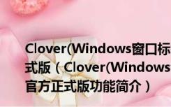 Clover(Windows窗口标签化工具) V3.5.2.19809 官方正式版（Clover(Windows窗口标签化工具) V3.5.2.19809 官方正式版功能简介）