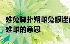 雄兔脚扑朔雌兔眼迷离双兔傍地走安能辨我是雄雌的意思