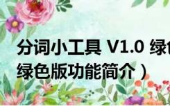 分词小工具 V1.0 绿色版（分词小工具 V1.0 绿色版功能简介）