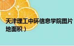 天津理工中环信息学院图片（天津理工大学中环信息学院占地面积）