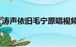 涛声依旧毛宁原唱视频（涛声依旧毛宁原唱）