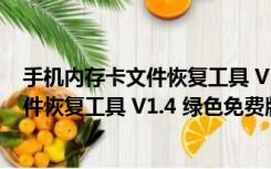 手机内存卡文件恢复工具 V1.4 绿色免费版（手机内存卡文件恢复工具 V1.4 绿色免费版功能简介）