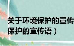 关于环境保护的宣传语3条二年级（关于环境保护的宣传语）