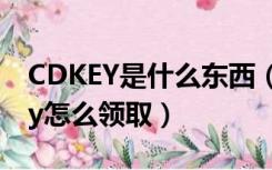 CDKEY是什么东西（cdkey是什么意思cdkey怎么领取）