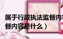 属于行政执法监督内容的有什么（行政执法监督内容是什么）