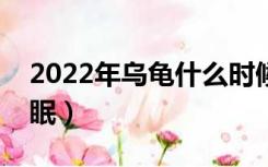 2022年乌龟什么时候冬眠（乌龟什么时候冬眠）