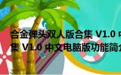 合金弹头双人版合集 V1.0 中文电脑版（合金弹头双人版合集 V1.0 中文电脑版功能简介）