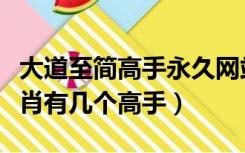 大道至简高手永久网站（大道至简高手论坛九肖有几个高手）