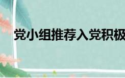 党小组推荐入党积极分子会议记录怎么写