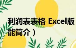 利润表表格 Excel版（利润表表格 Excel版功能简介）