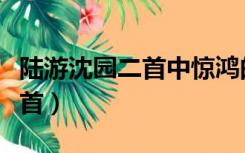 陆游沈园二首中惊鸿的典故出自（陆游沈园二首）