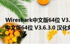 Wireshark中文版64位 V3.6.3.0 汉化免费版（Wireshark中文版64位 V3.6.3.0 汉化免费版功能简介）