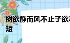 树欲静而风不止子欲养而亲不待是什么意思简短