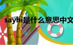 sayhi是什么意思中文（say hi是什么意思）