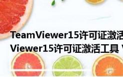 TeamViewer15许可证激活工具 V1.0 绿色免费版（TeamViewer15许可证激活工具 V1.0 绿色免费版功能简介）