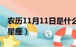 农历11月11日是什么星座（农历11月是什么星座）