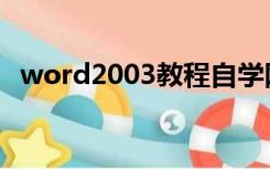 word2003教程自学网（word2003教程）