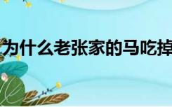 为什么老张家的马吃掉了老李家的象打一生肖