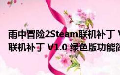 雨中冒险2Steam联机补丁 V1.0 绿色版（雨中冒险2Steam联机补丁 V1.0 绿色版功能简介）