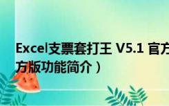 Excel支票套打王 V5.1 官方版（Excel支票套打王 V5.1 官方版功能简介）