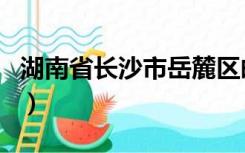 湖南省长沙市岳麓区邮编（长沙市岳麓区邮编）