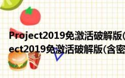 Project2019免激活破解版(含密钥) 32/64位 免费版（Project2019免激活破解版(含密钥) 32/64位 免费版功能简介）