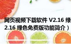 网页视频下载软件 V2.16 绿色免费版（网页视频下载软件 V2.16 绿色免费版功能简介）