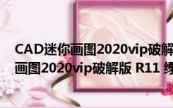 CAD迷你画图2020vip破解版 R11 绿色免费版（CAD迷你画图2020vip破解版 R11 绿色免费版功能简介）