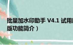 批量加水印助手 V4.1 试用版（批量加水印助手 V4.1 试用版功能简介）