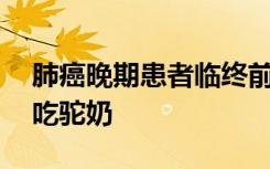 肺癌晚期患者临终前15个症状肺癌可不可以吃驼奶