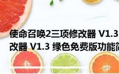 使命召唤2三项修改器 V1.3 绿色免费版（使命召唤2三项修改器 V1.3 绿色免费版功能简介）