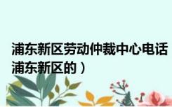 浦东新区劳动仲裁中心电话（上海劳动仲裁咨询电话 最好是浦东新区的）