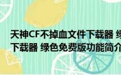 天神CF不掉血文件下载器 绿色免费版（天神CF不掉血文件下载器 绿色免费版功能简介）