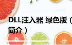 DLL注入器 绿色版（DLL注入器 绿色版功能简介）