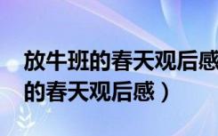 放牛班的春天观后感1000字大学生（放牛班的春天观后感）