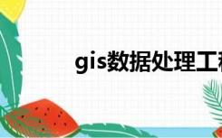 gis数据处理工程师（gis数据）