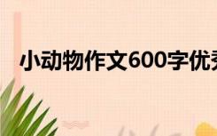 小动物作文600字优秀作文（小动物作文）